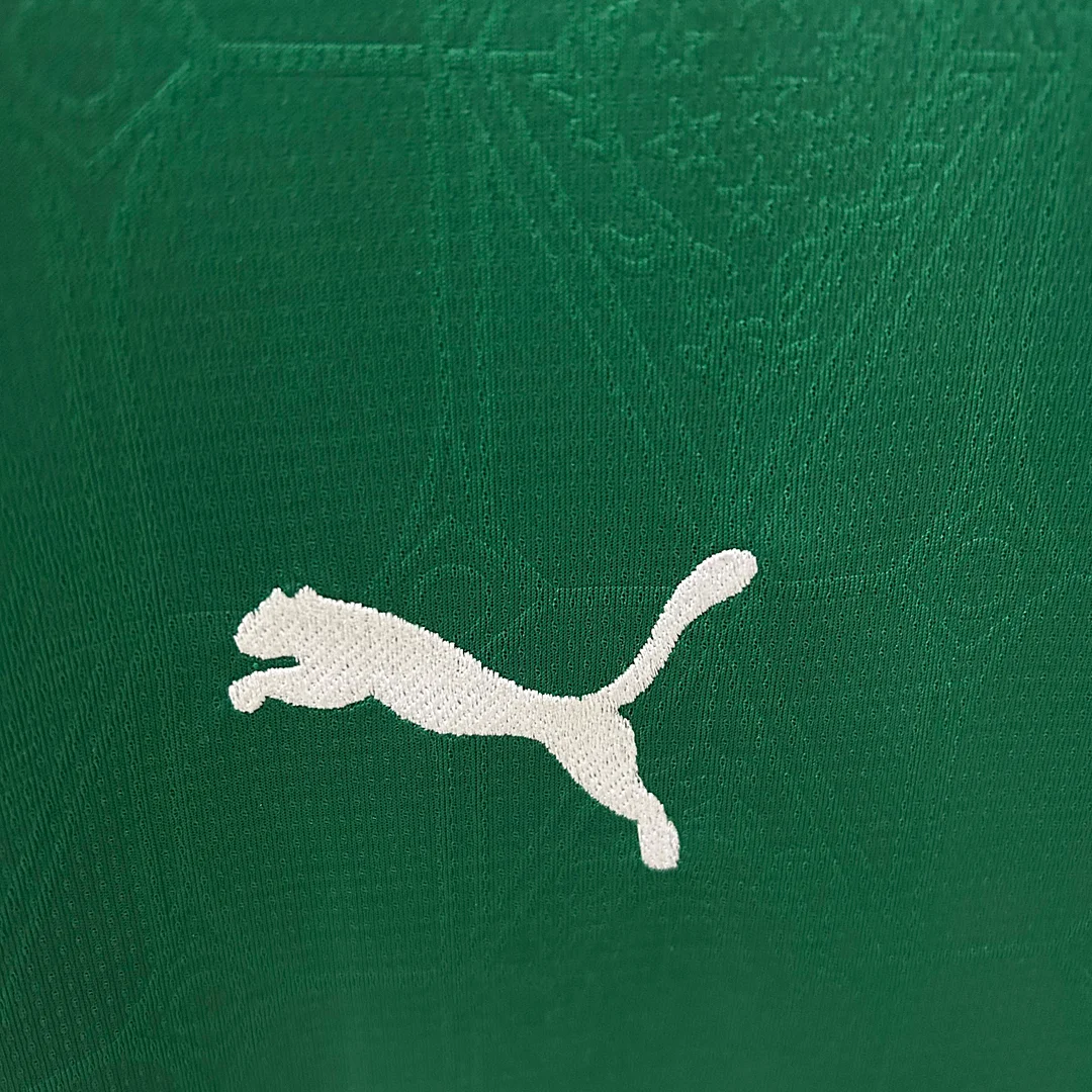 2025/2026 Palmeiras Home Jersey 1:1 Thai Quality - Image 5