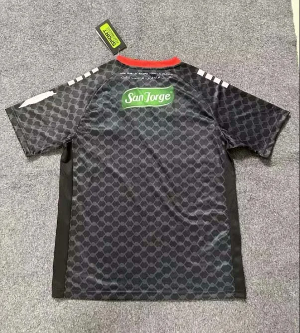 2025/2026 Club Deportivo Palestino Away Football Shirt 1:1 Thai Quality - Image 2