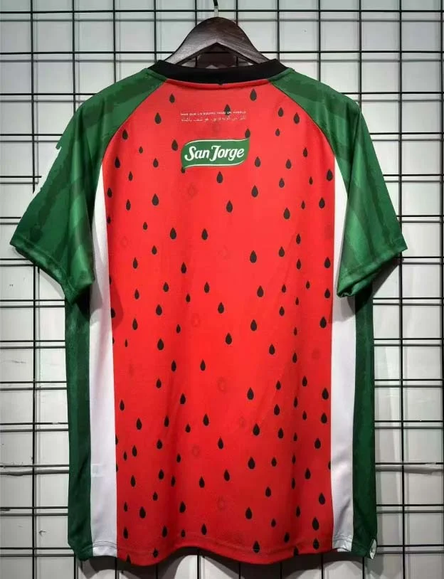 2025/2026 Club Deportivo Palestino Third away Football Shirt 1:1 Thai Quality - Image 2