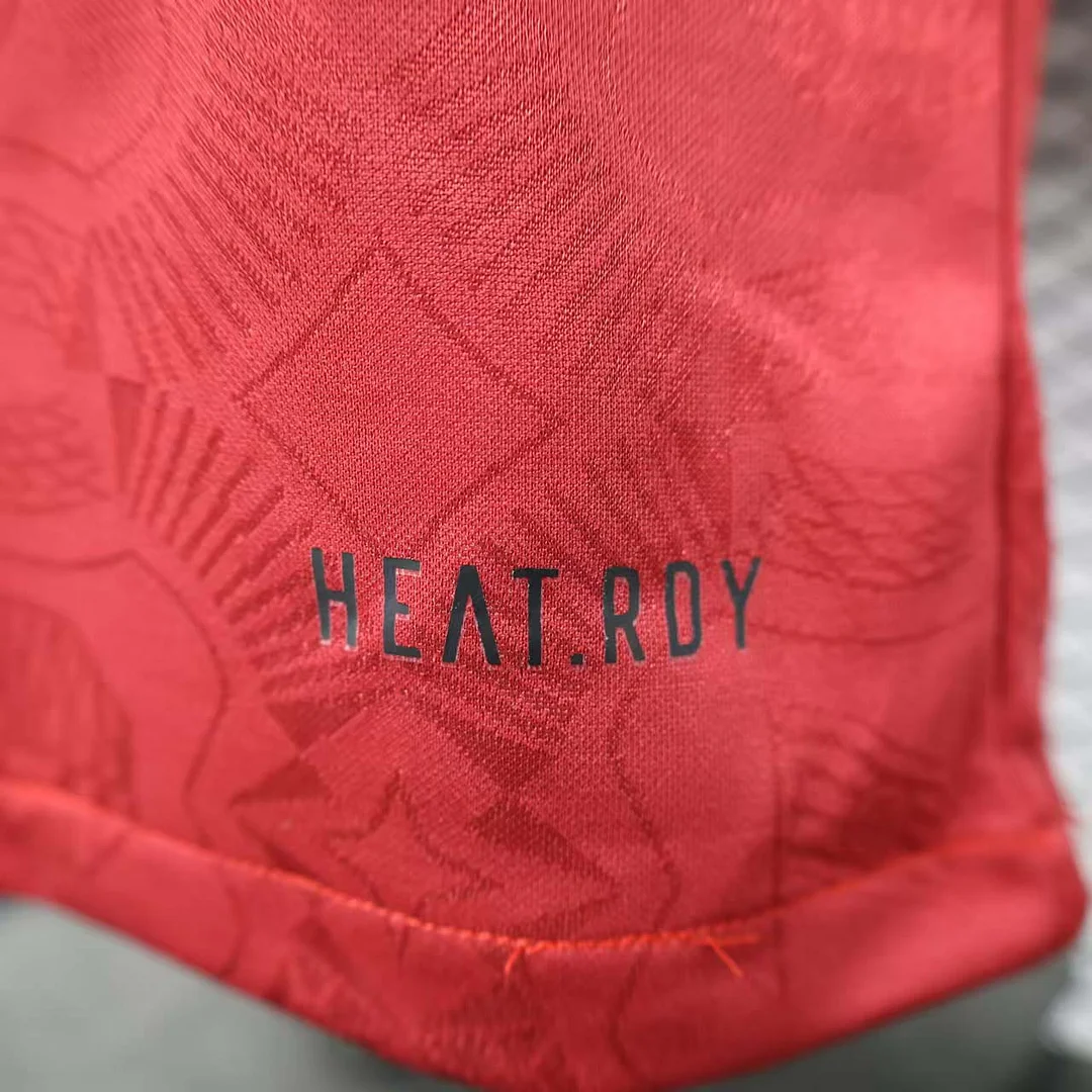 2024/2025 Player Version Bayern Munich 125th Anniversary Edition Football Shirt 1:1 Thai Quality - Image 9