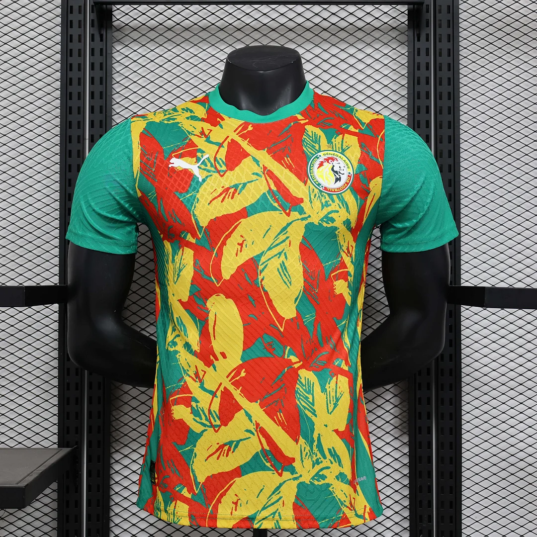 2024/2025 Player Version Senegal National Team Training Wear Football Shirt 1:1 Thai Quality