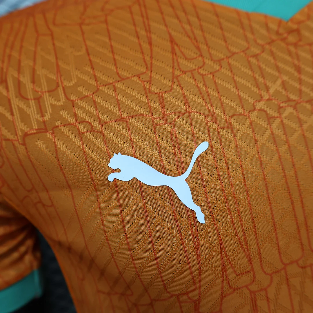 2024/2025 Player Version C?te d'Ivoire Home Football Shirt 1:1 Thai Quality - Image 5