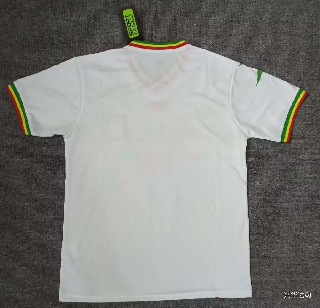2024 Mali Africa Cup Home Football Shirt 1:1 Thai Quality - Image 2