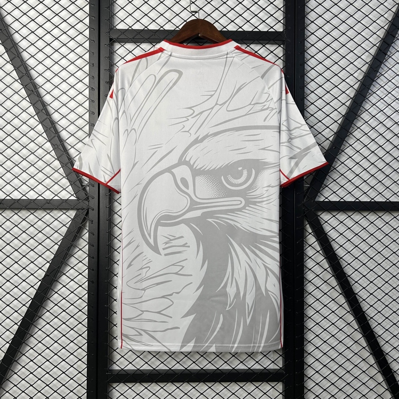 2025/2026 Benfica Special Edition Football Jersey 1:1 Thai Quality - Image 2