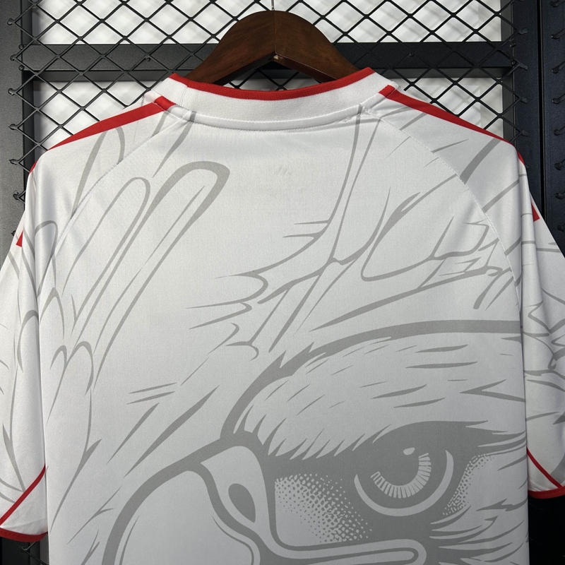 2025/2026 Benfica Special Edition Football Jersey 1:1 Thai Quality - Image 5